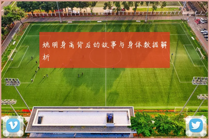 姚明身高背后的故事与身体数据解析